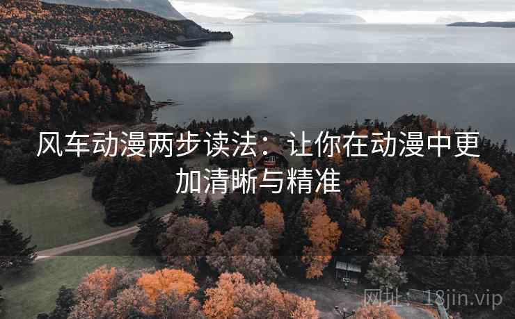 风车动漫两步读法：让你在动漫中更加清晰与精准